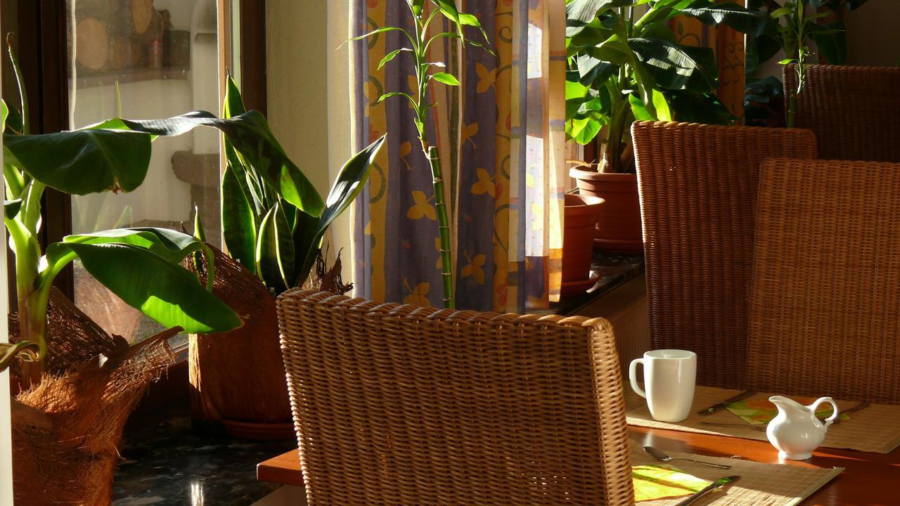 Resorthotel Park-Hill Loßburg Dış mekan fotoğraf